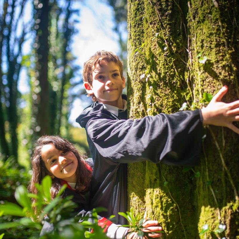 Two children in costumes play in a sunlit forest, exploring nature.
